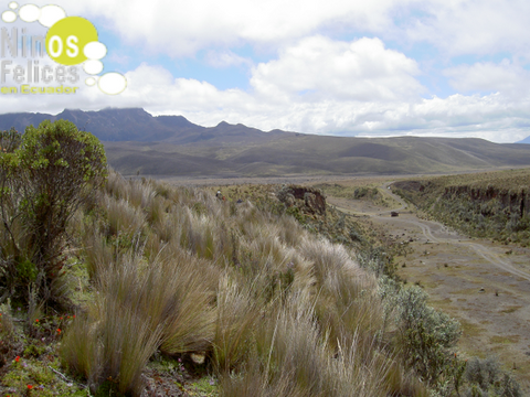 Stichting Gelukkige Kinderen in Ecuador